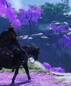 Ghost of Tsushima DIRECTOR’S CUT wallpaper