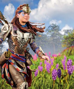 Horizon Forbidden West wallpaper