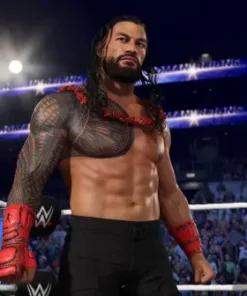 WWE 2K25