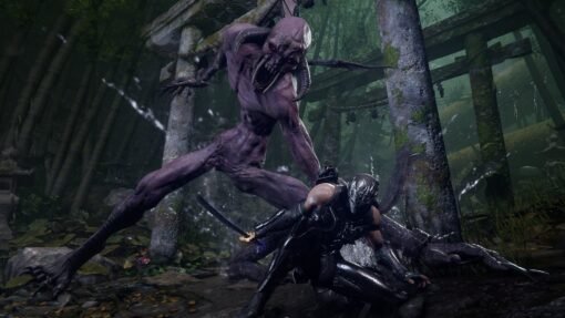 NINJA GAIDEN 4 wallpaper