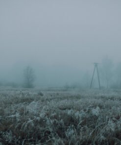 S.T.A.L.K.E.R. 2 Heart of Chornobyl wallpaper